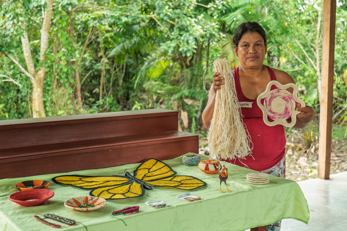 Foto horizontal DCI 3